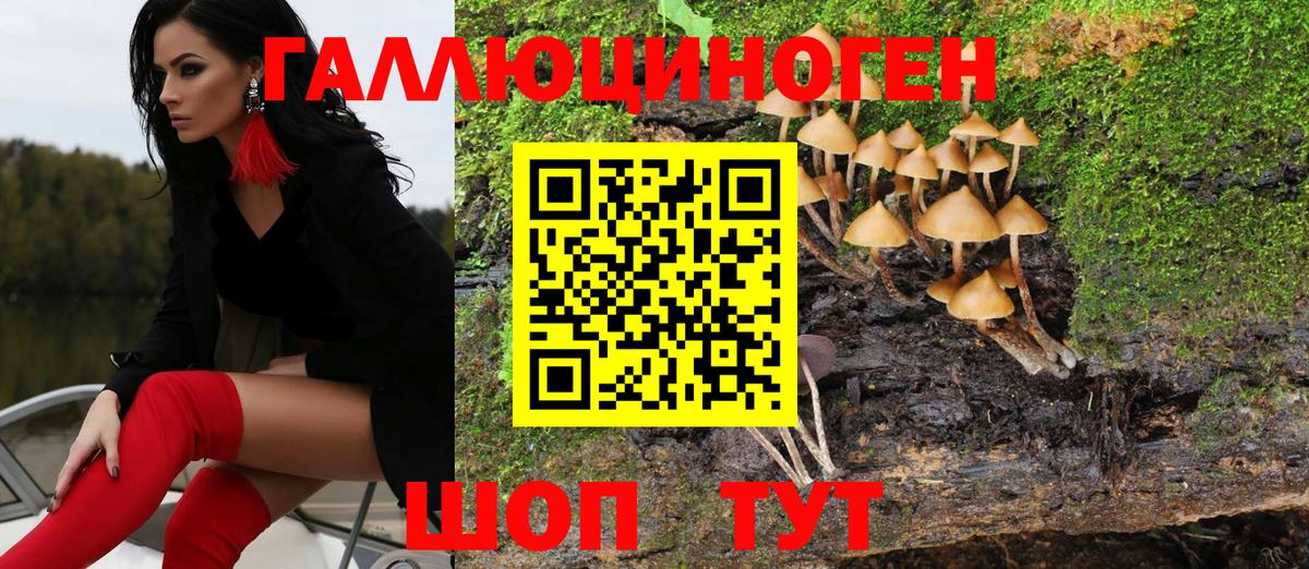 Псилоцибиновые грибы MAGIC MUSHROOMS  Псилоцибиновые грибы ЛСД  Армавир  Вход с VPN 