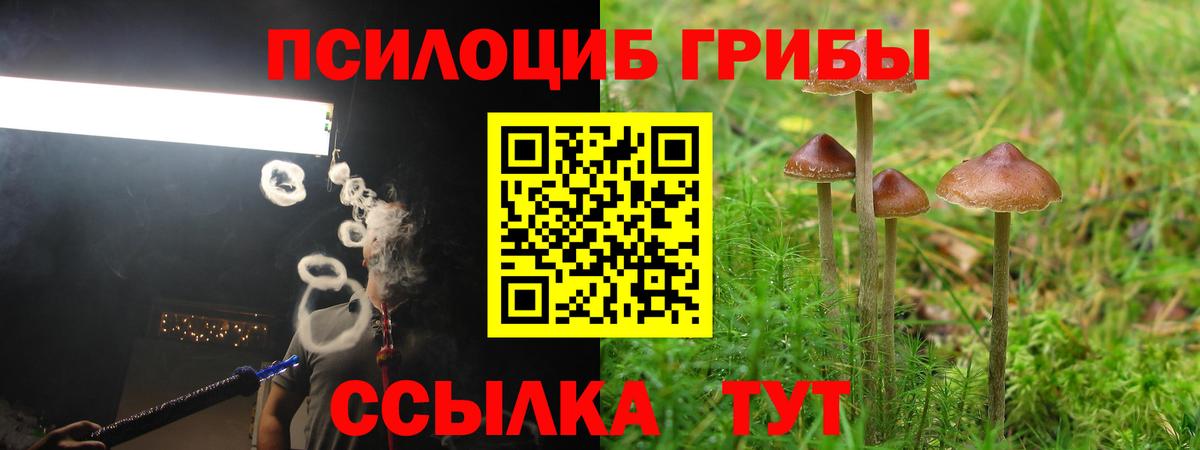 Галлюциногенные грибы MAGIC MUSHROOMS Армавир